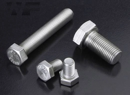 STAINLESS STEEL (SS-1/4*1/2 BOLT)