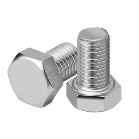 STAINLESS STEEL (SS-1/2*2 BOLT)