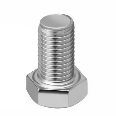 STAINLESS STEEL (SS-1/2*2 BOLT)