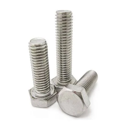 STAINLESS STEEL (SS-12*100 BOLT)