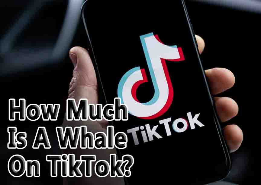 How Much Is A Whale On TikTok